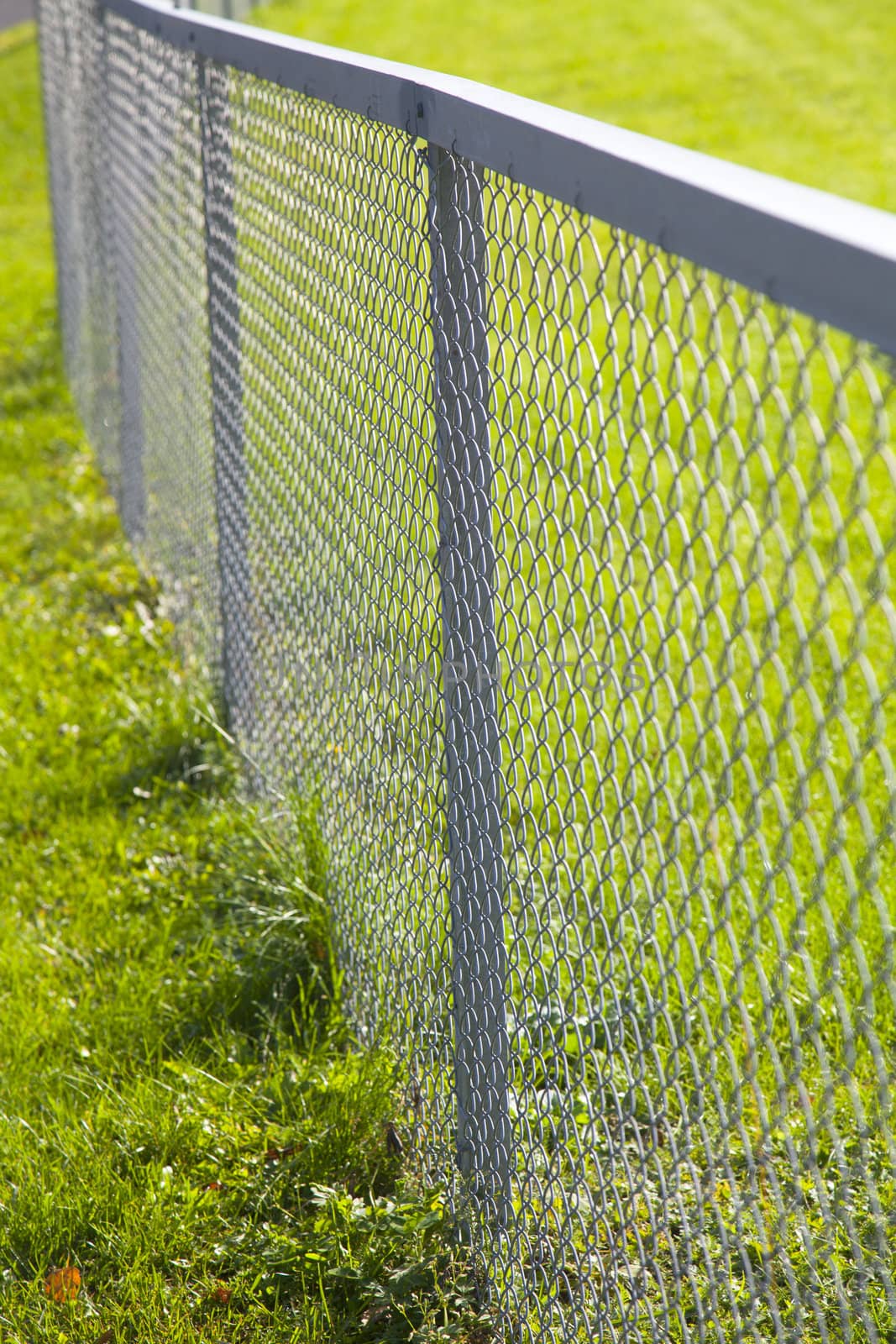 Metallic fence into a field with green grass