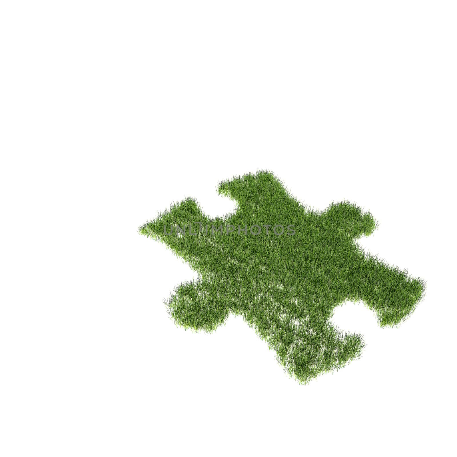 Green grass growing as a puzzle on a white background