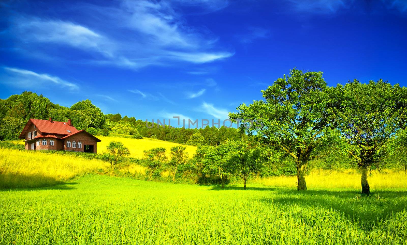 Mountain house in summer