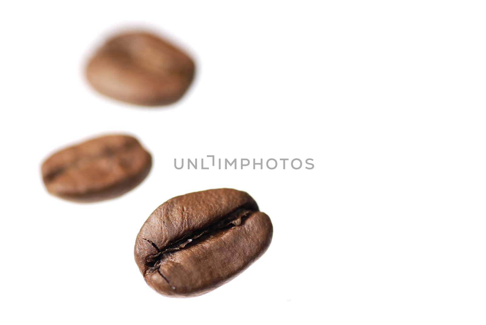 Studio shot arabica coffee beans isolated.