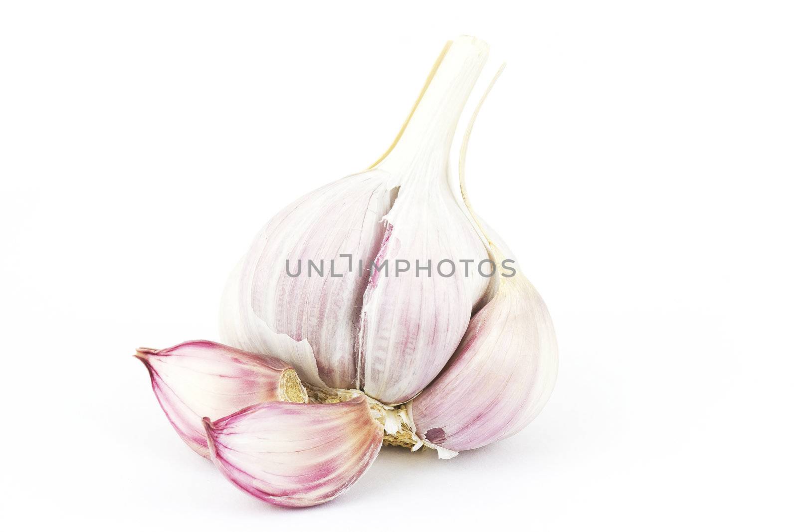 fresh garlic