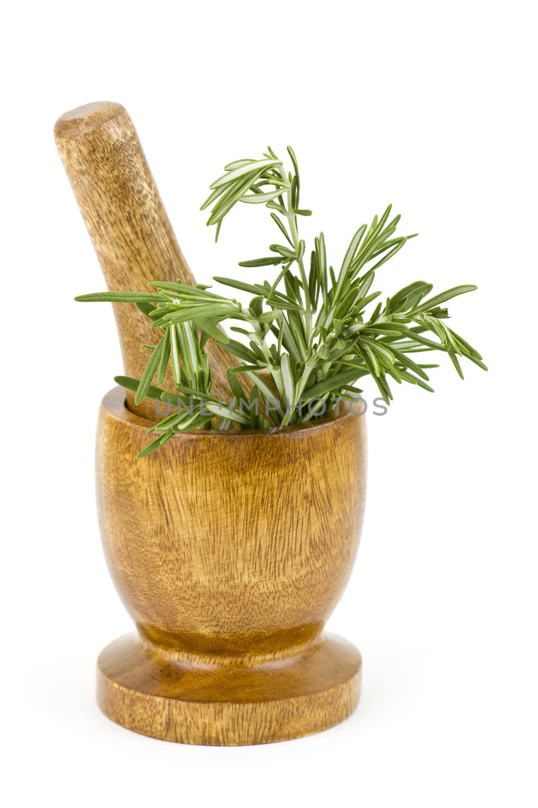 fresh green rosemary in mortar isolated on white