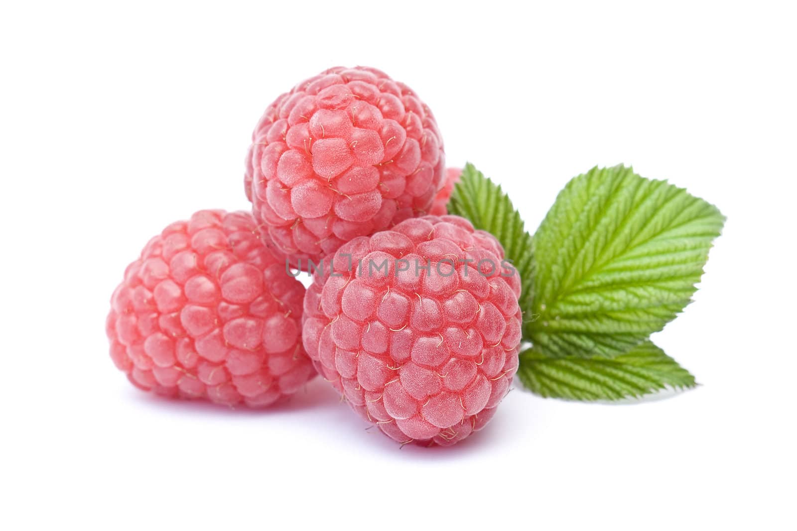 raspberries on white background