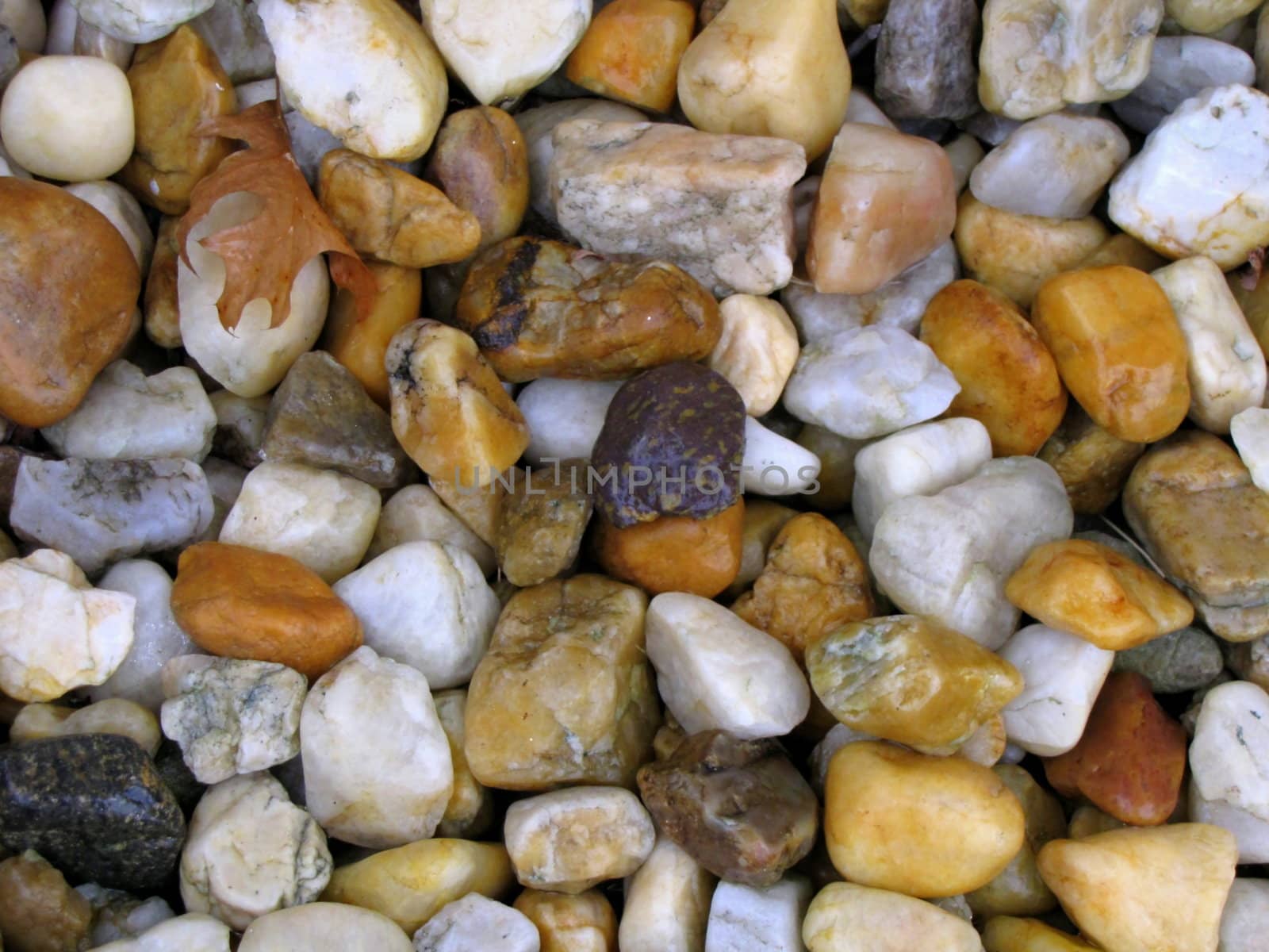 wet pebbles or stones in earthtoness