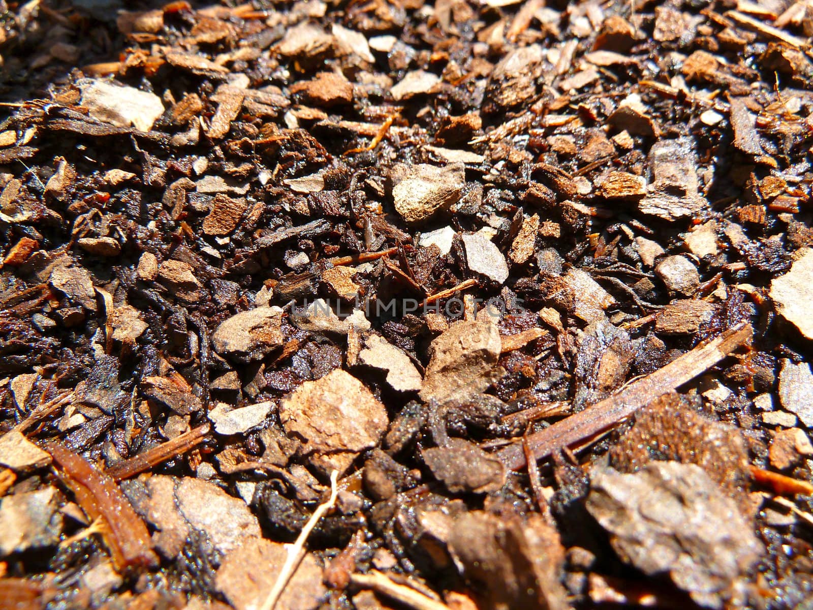 brown mulch by gazmoi