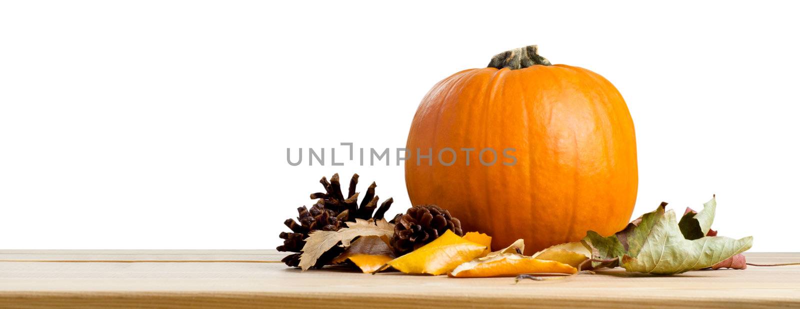 A banner style still life a pumpkin. Autumn leaves and fir cones on a wooden table, isolated against a white background.