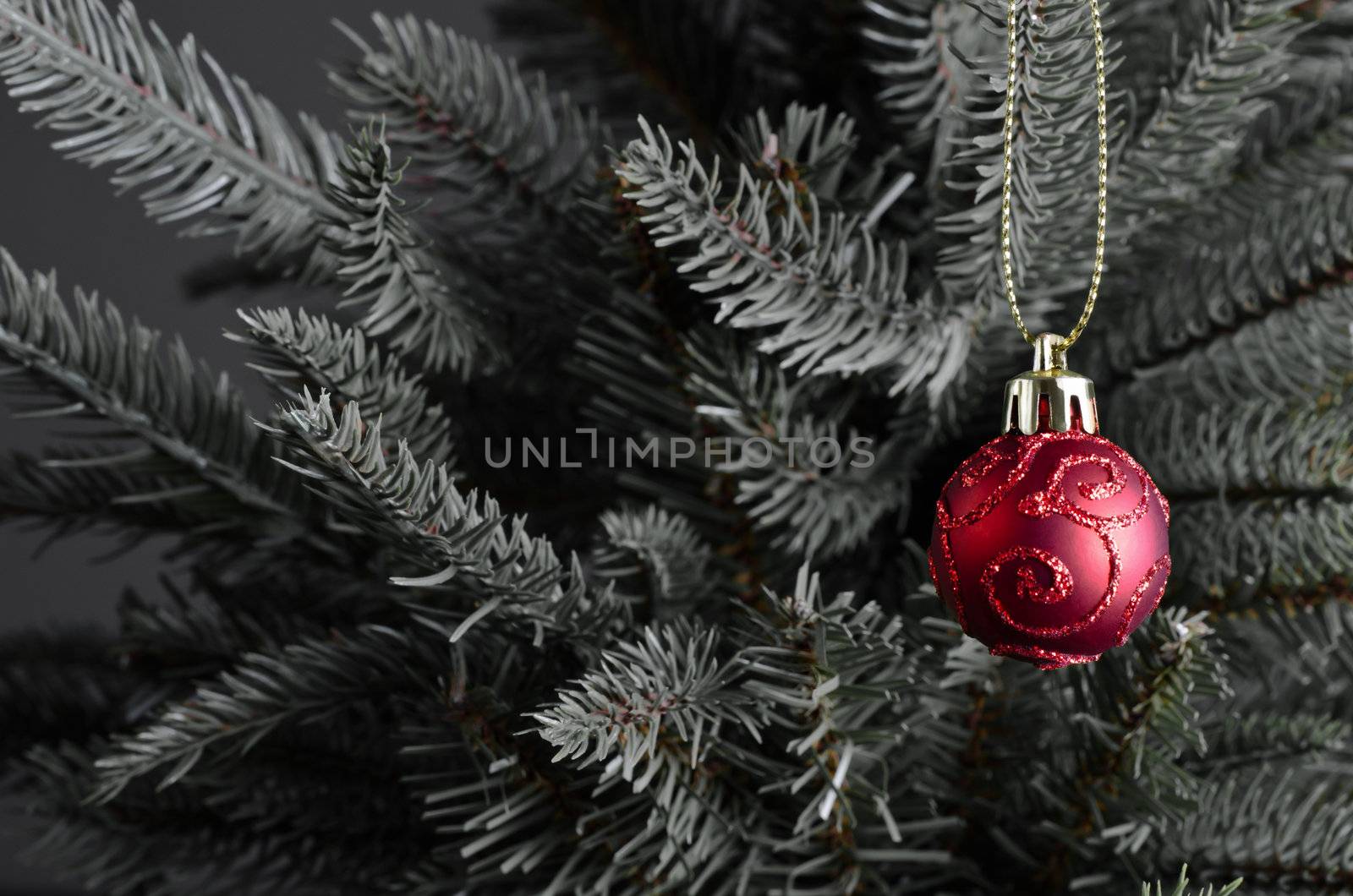 A single, red Christmas bauble, decorated in swirls of glitter, hanging from a slightly desaturated artificial green fir tree on the right side of the frame, with gold clasp and string.