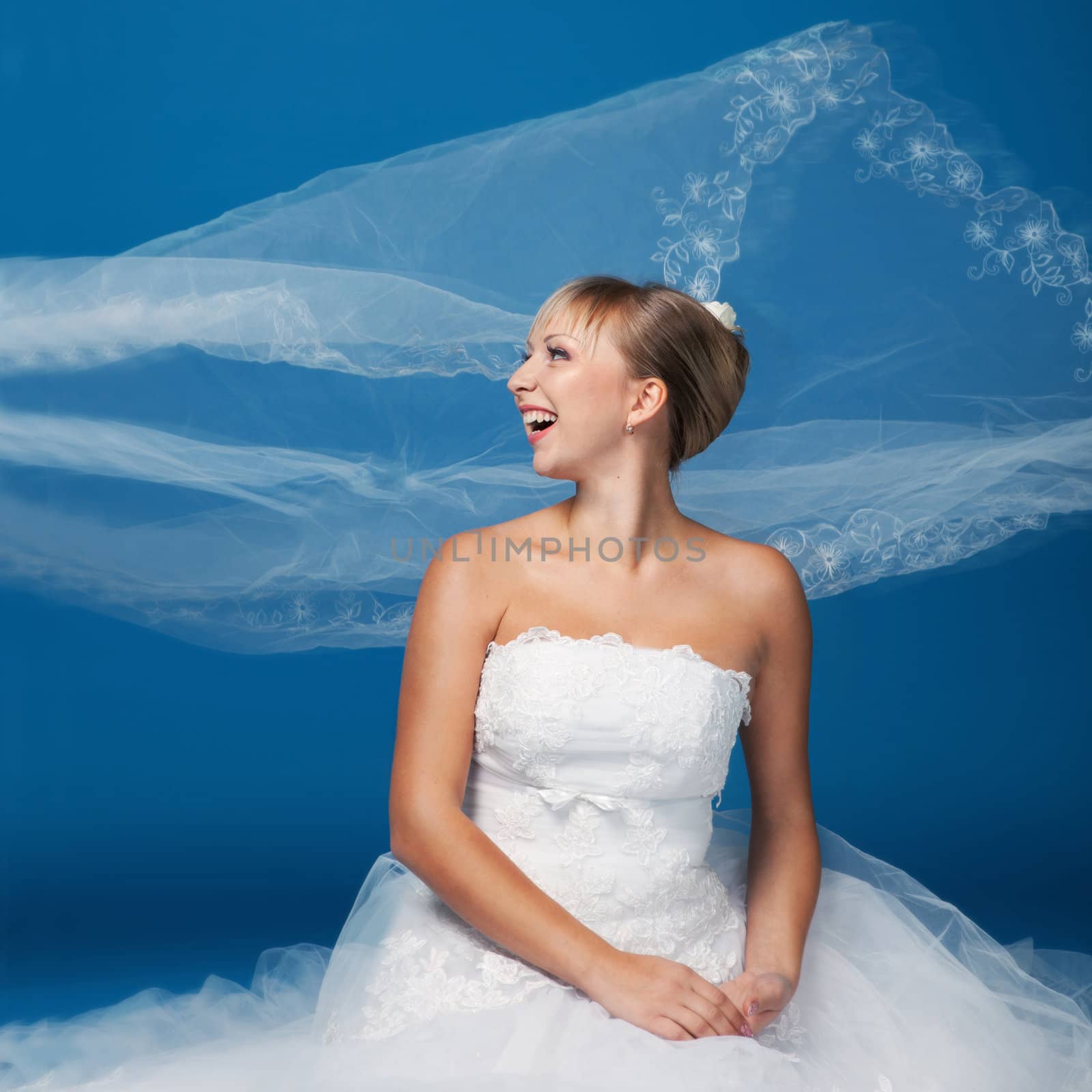 Bride photo isolated on blue background