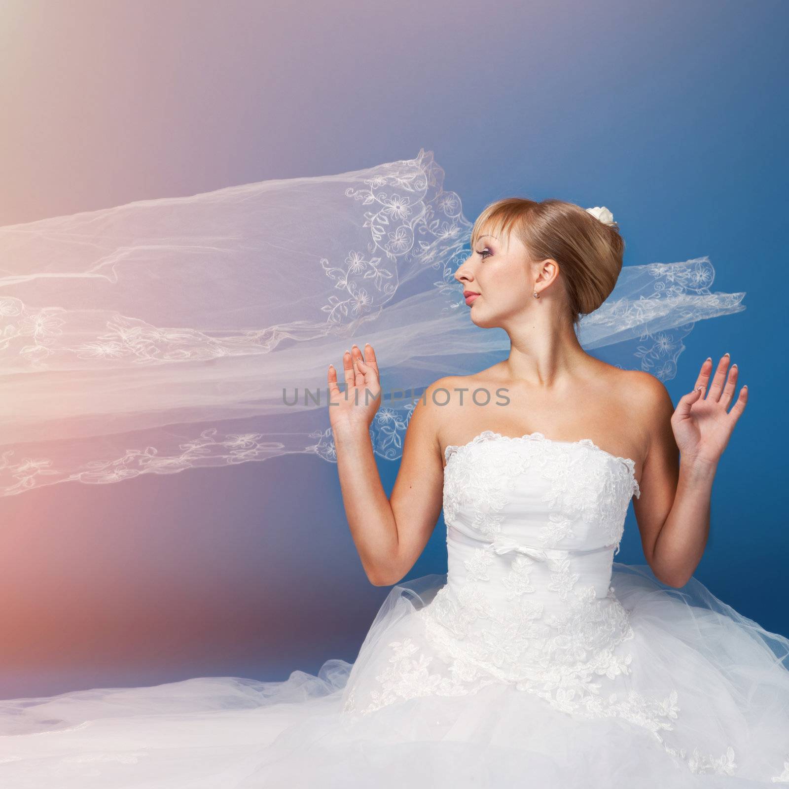 Bride photo isolated on blue background