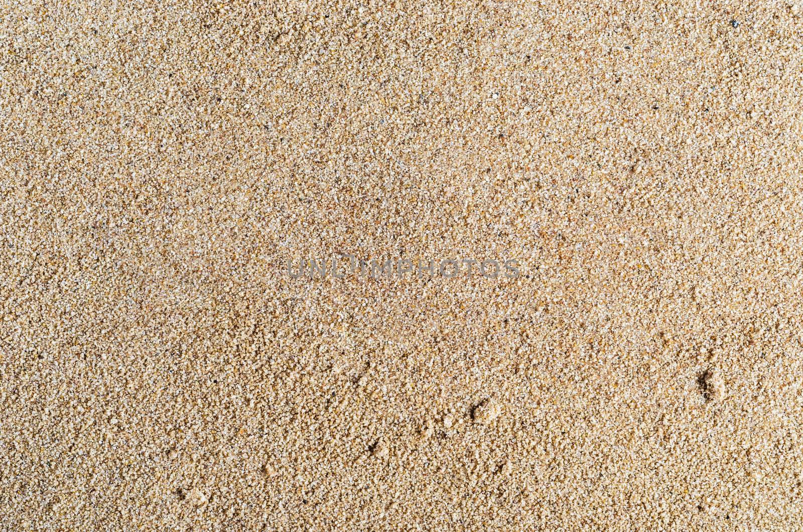 A background texture of unrefined, damp and grainy natural golden sand.