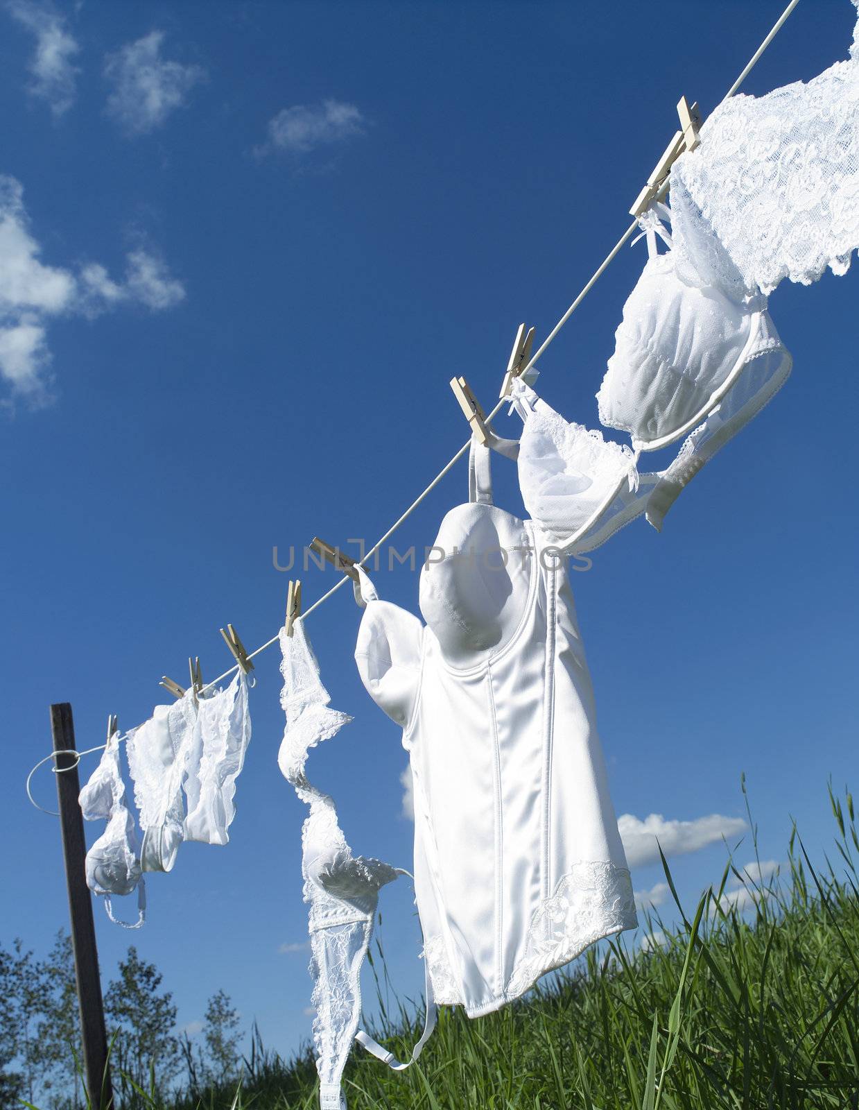 Female underwear on a clothesline towards blue sky