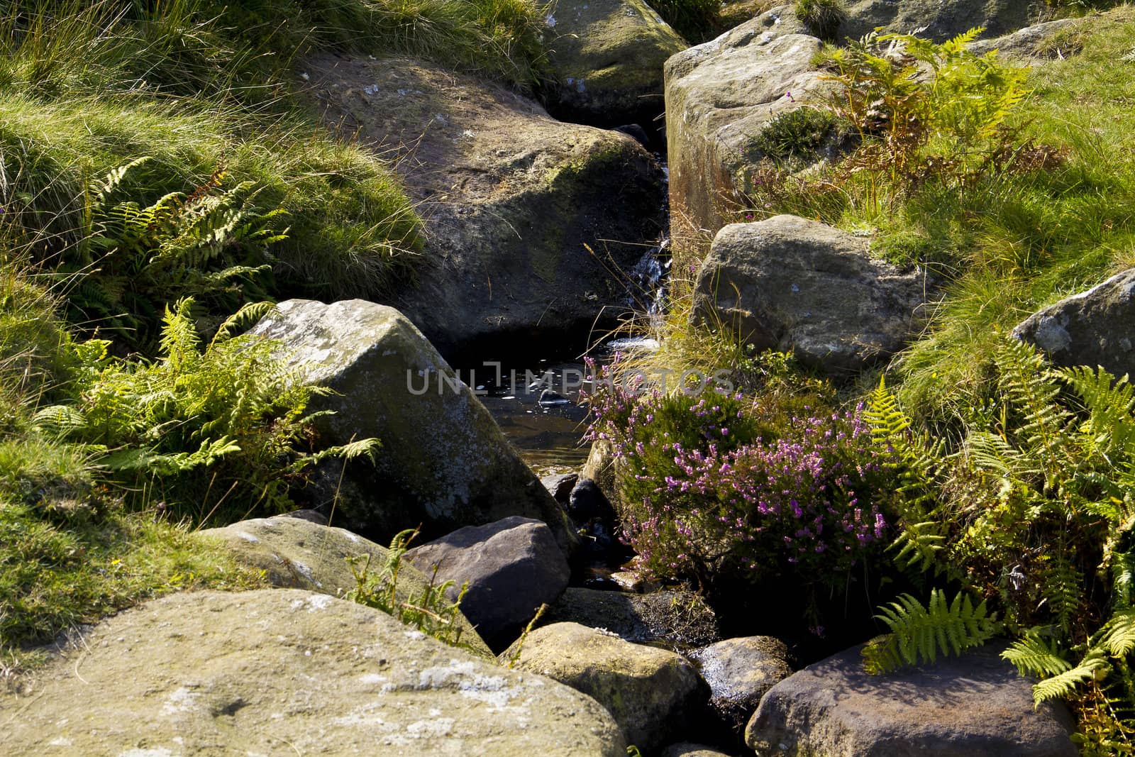 Running from the top of Rombalds Moor this stream merrily meanders through heather covered rocks to the Wharfe.
