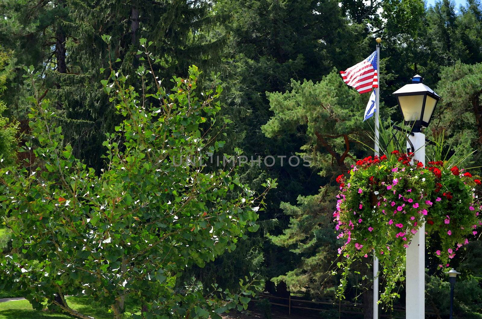 flag on pole along side hanging basket on pole among trees in the summer in watercolor art effect