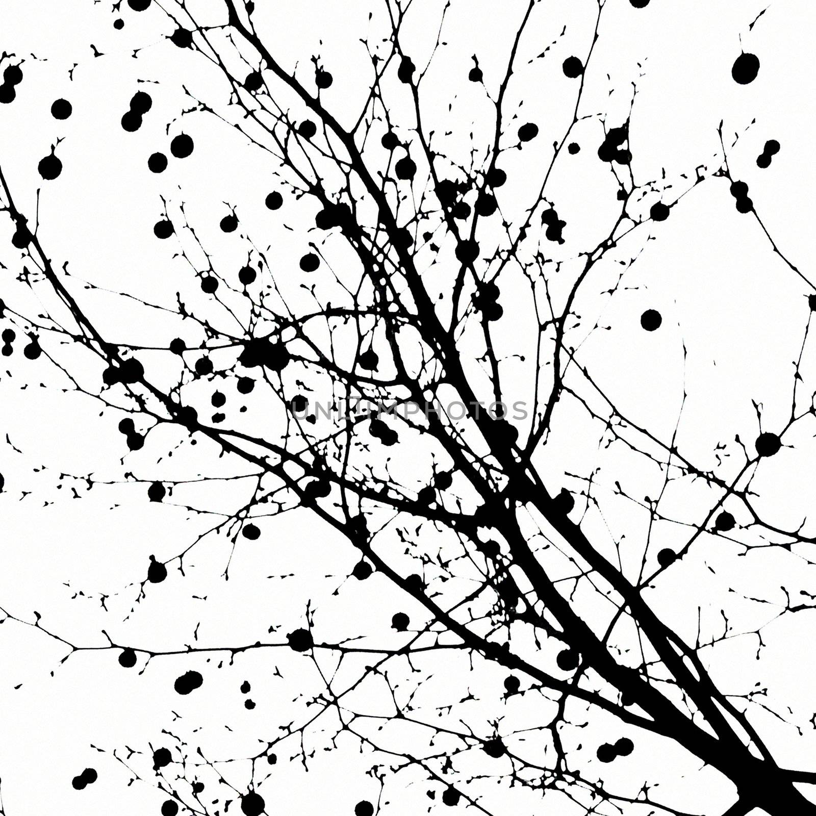 Silhouette of abstract ancient trees