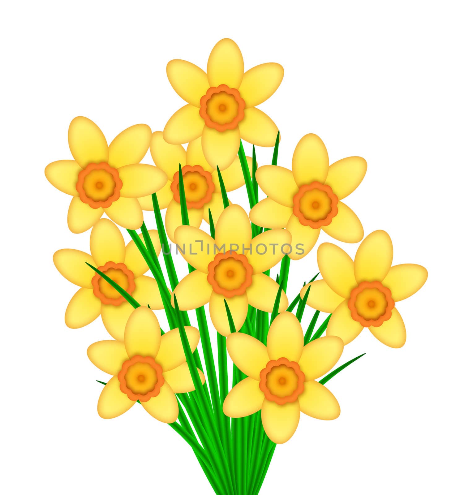 Yellow Daffodil Flowers Bunch by jpldesigns