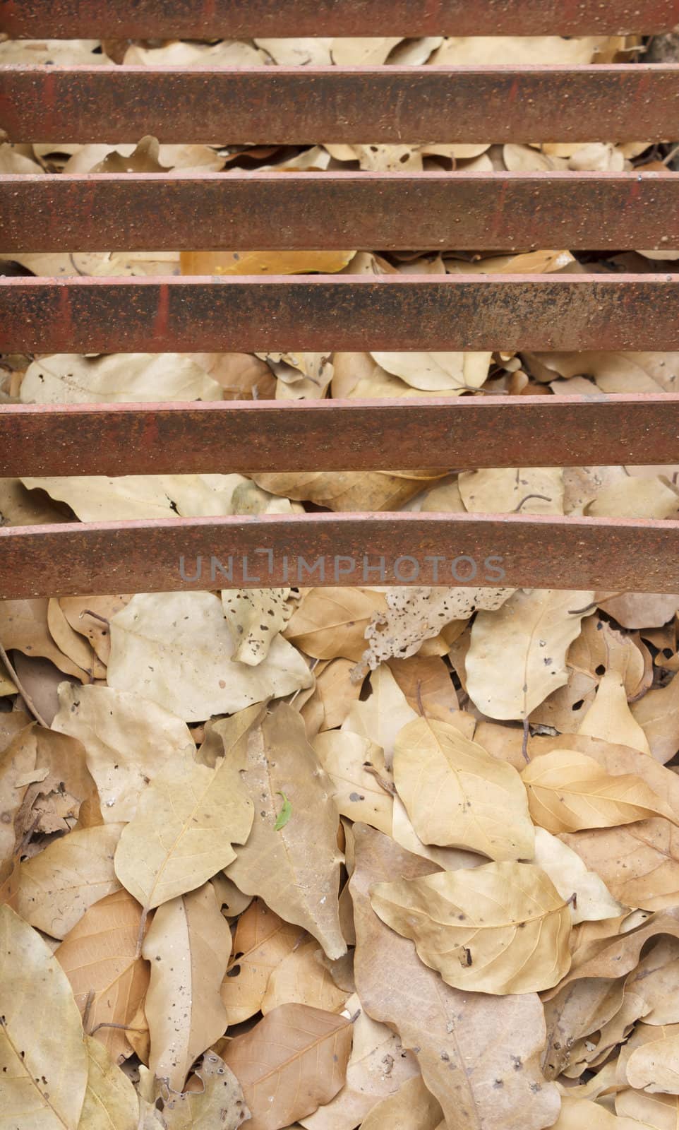 Abstract view of a rusted metal storm drain on street