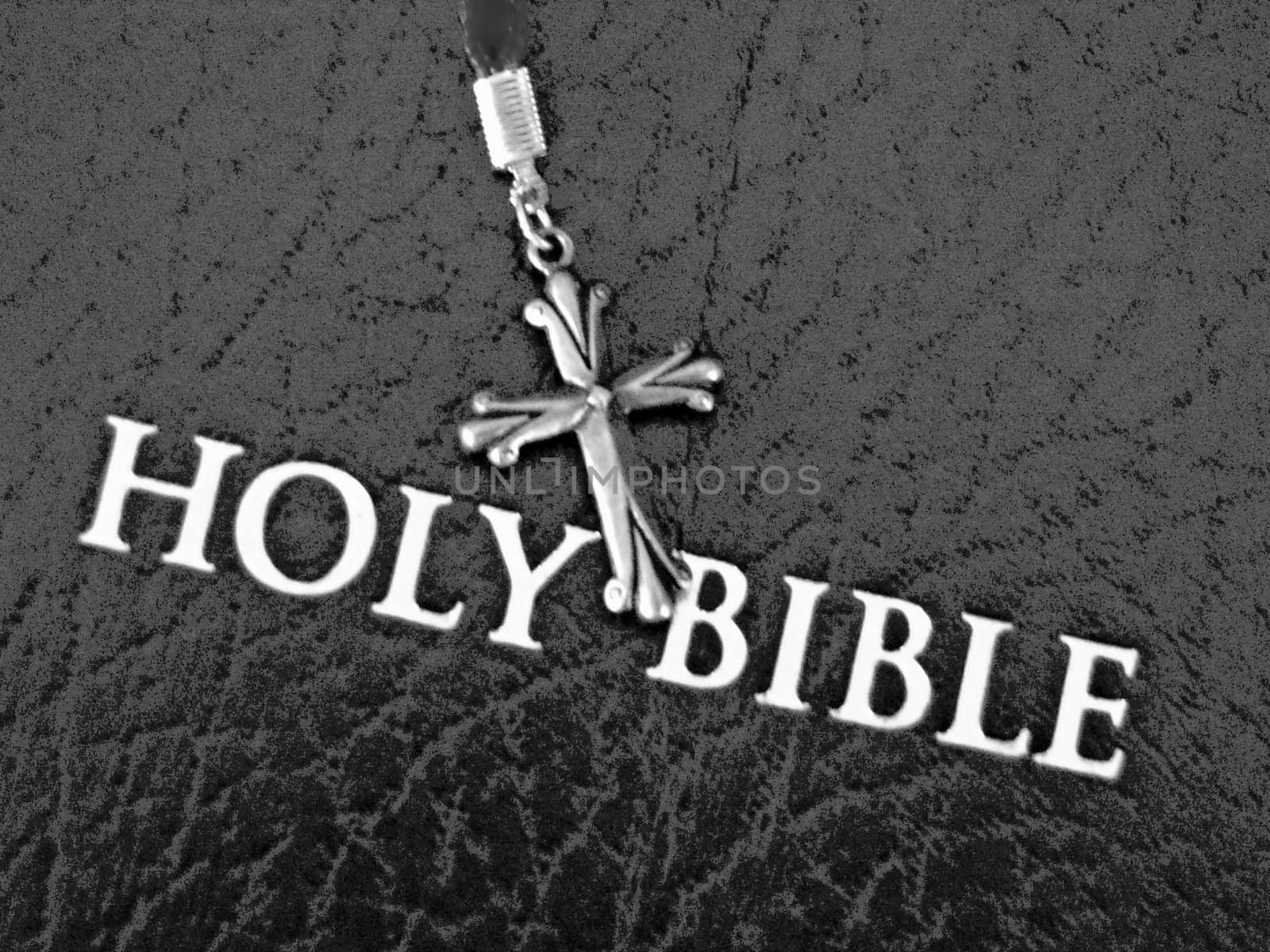 Holy Bible With Cross by darla1949