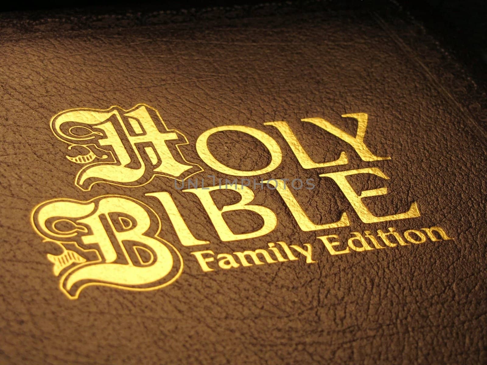 brown Holy Bible Family Edition with golden lettering