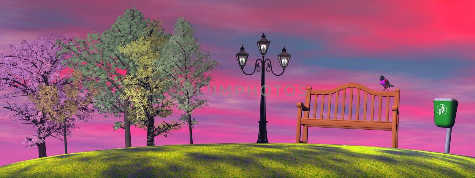Colorful bird on a wood bench in a park with bin, lamp and trees by sunset