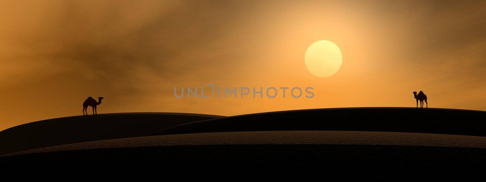 Two camel silouhettes looking at the sun in the desert by sunset