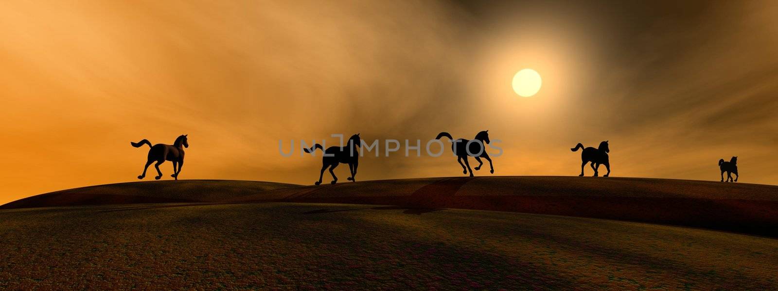 Runing horses by Elenaphotos21