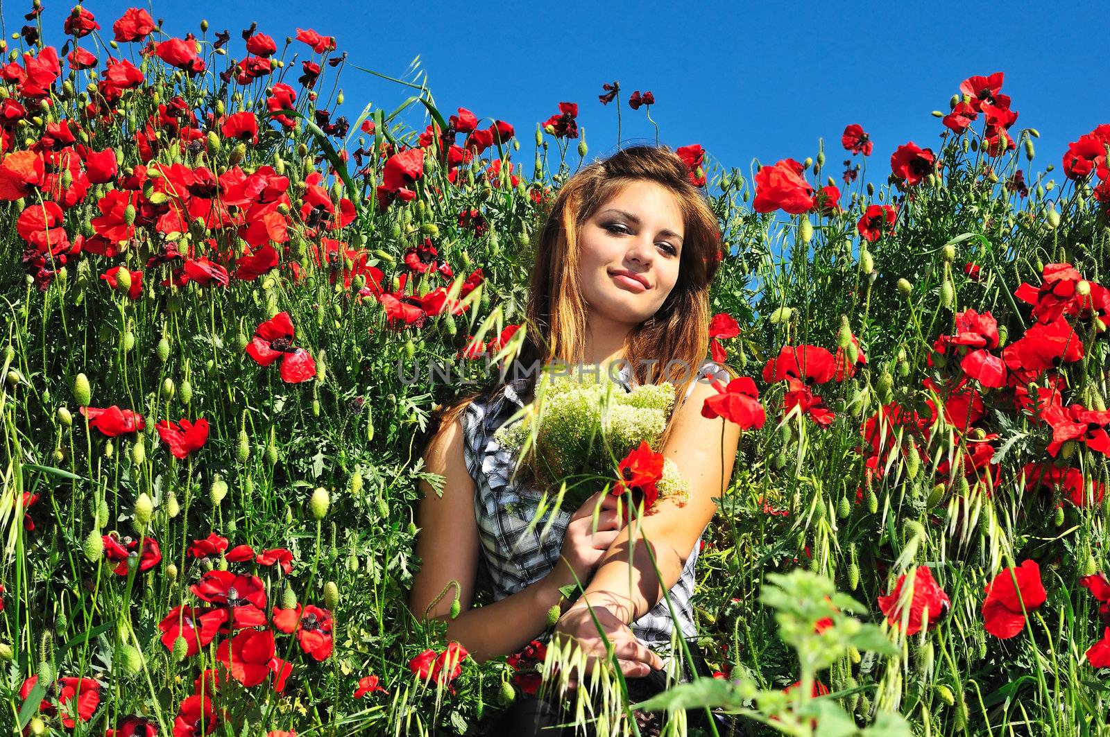 beautiful girl with long hair relaxing in the poppy field 