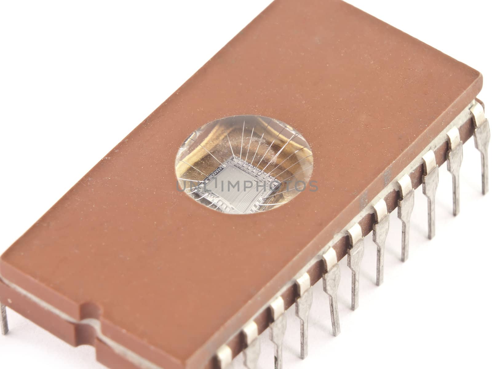Isolated brown microchip with a set of legs