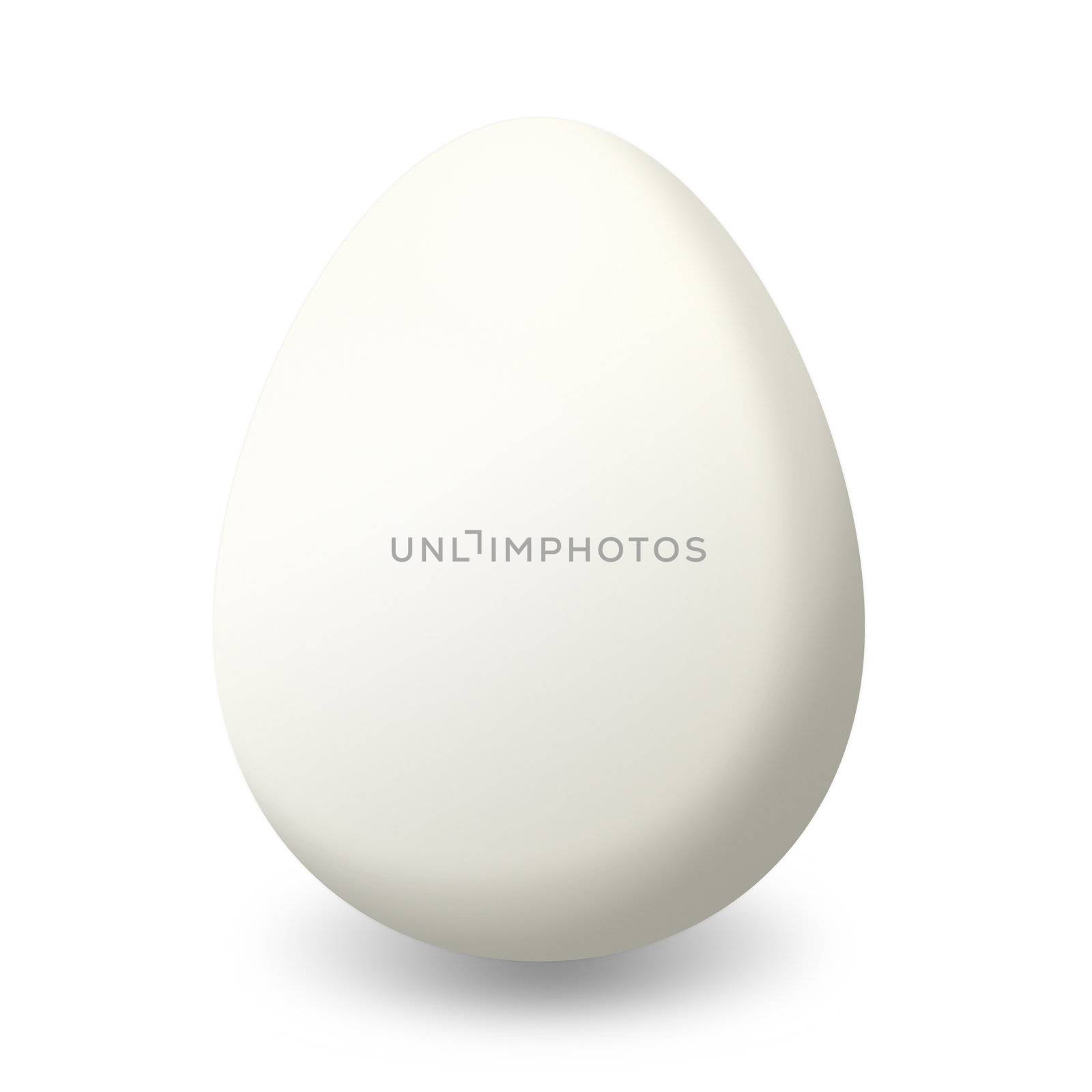a single white duck egg on a white background