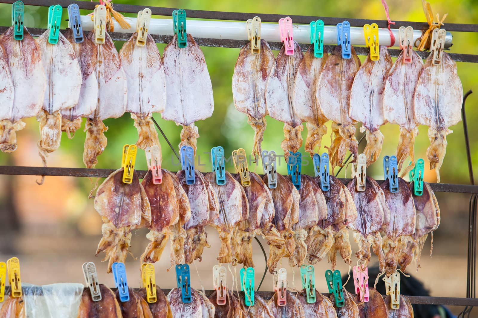 Dried squid, Thai food style.