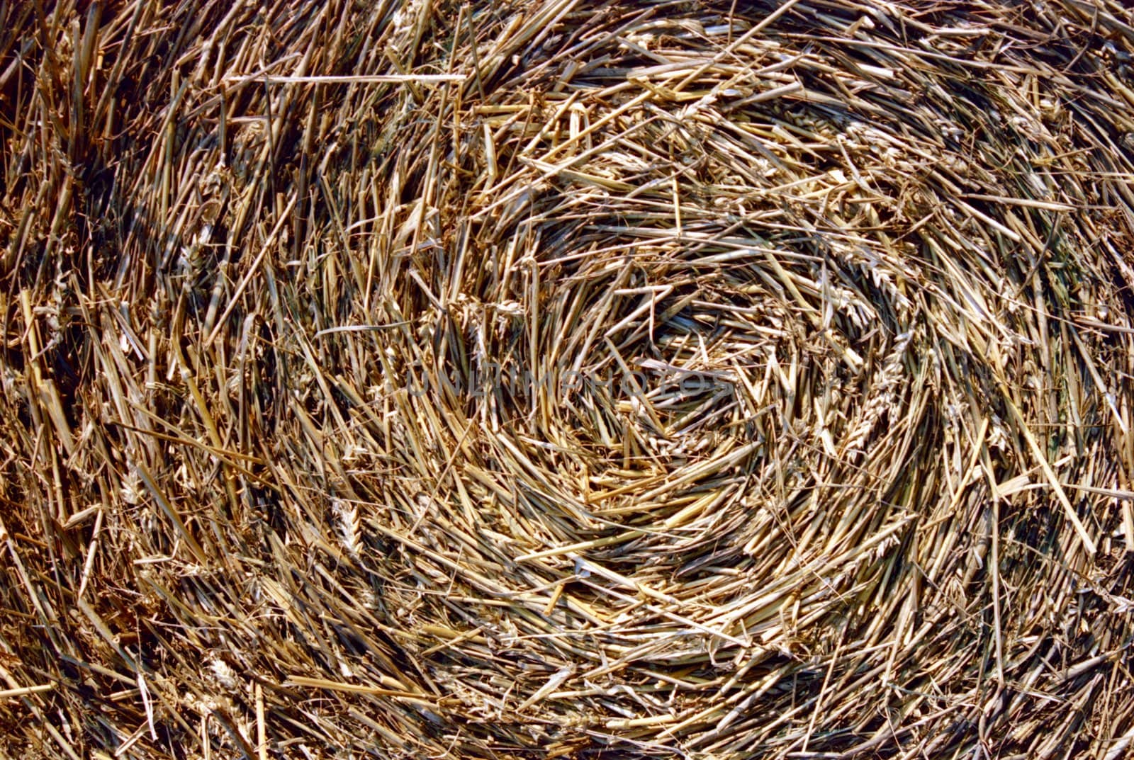 Close-up of straw bales by sauletas