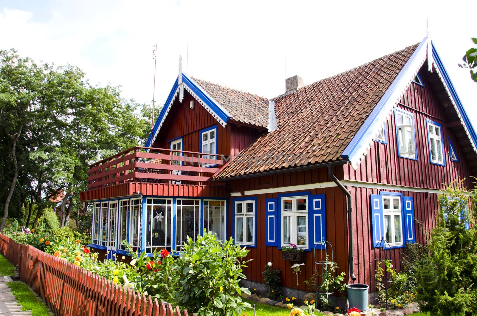 homestead house. colorful rural architecture and neat garden courtyard. countryside tourism flowers decorations.