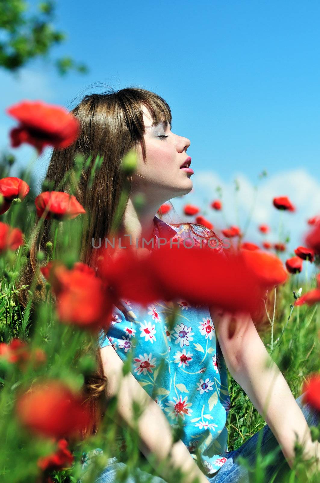 beautiful girl with long hair relaxing in the poppy field 