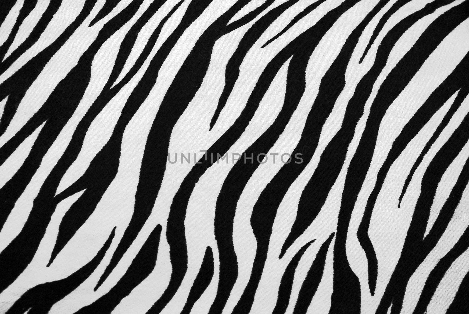 Zebra Textile Texture by Vitamin