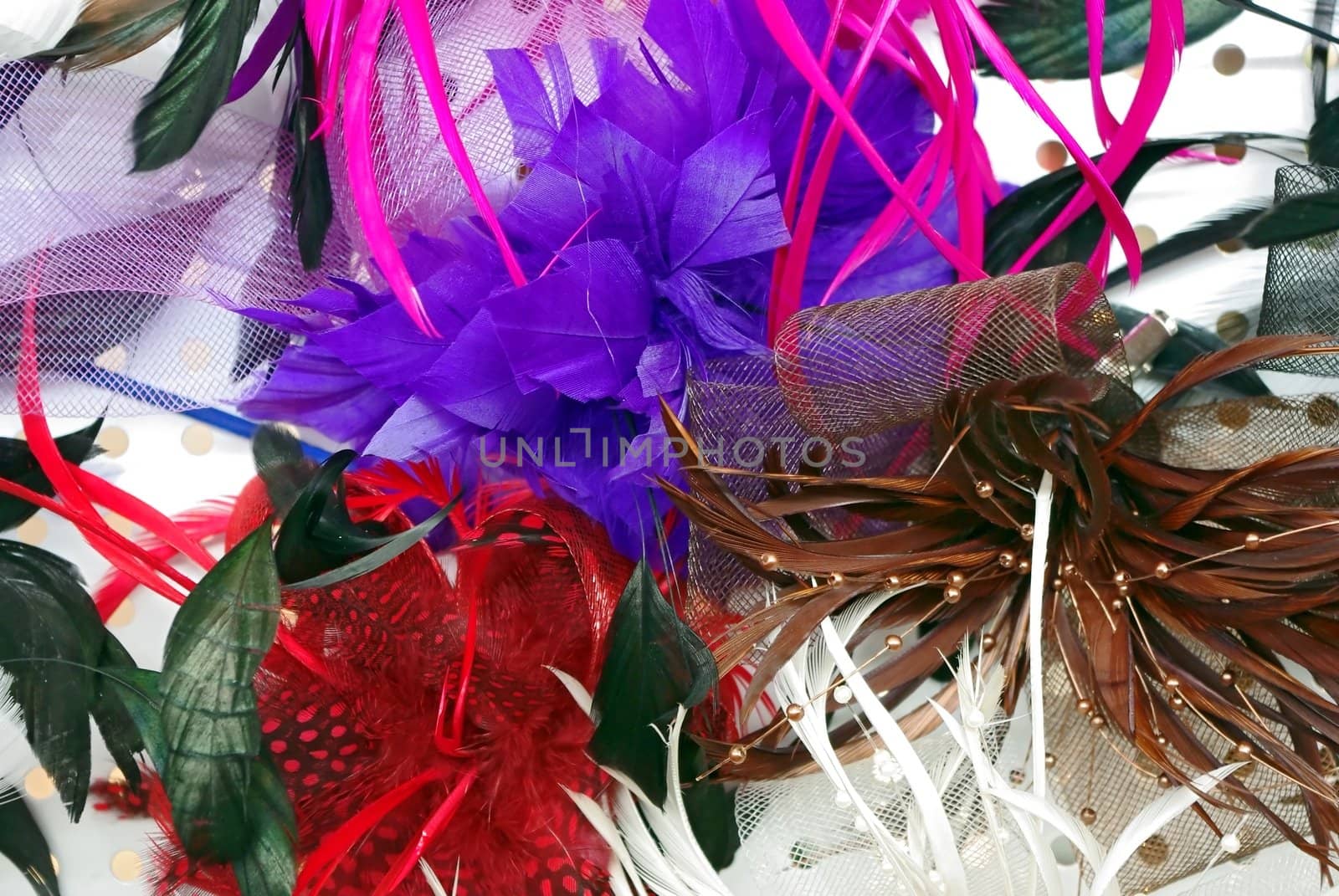 Fashion hair accessories and brooches made of colorful feather