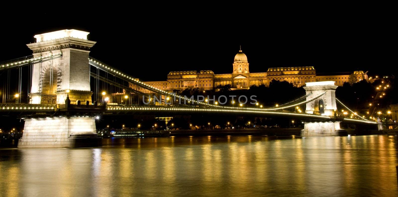 Night view of Buda Castle and Chain Bridge by iryna_rasko