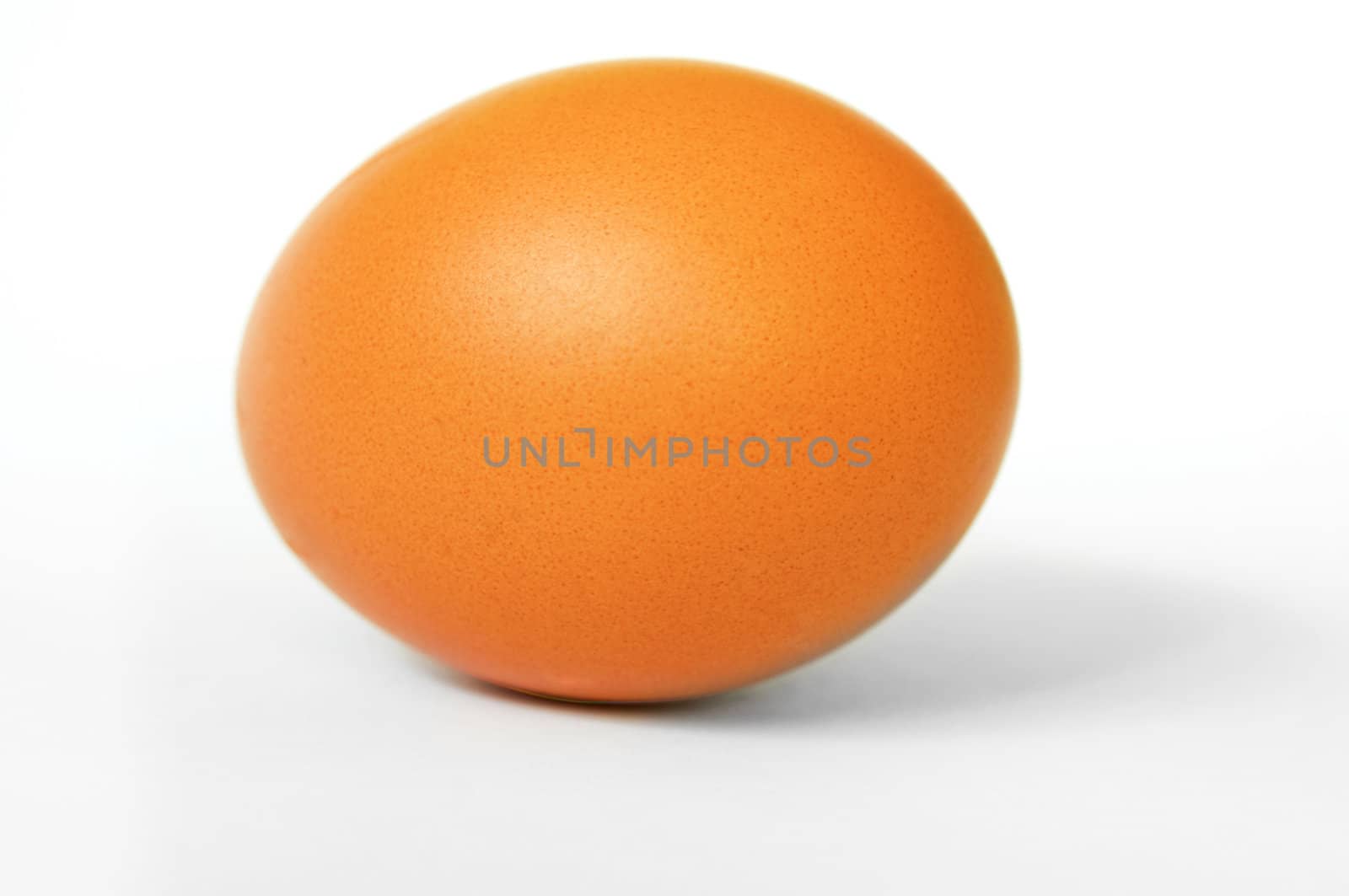 One brown egg with soft shadow.