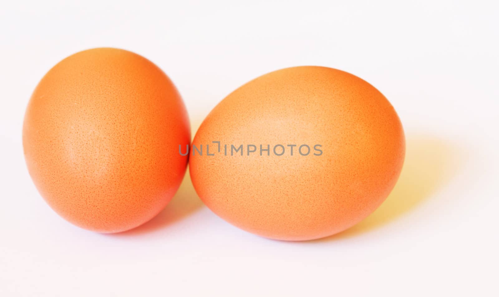 Two brown chicken's eggs with soft shadows