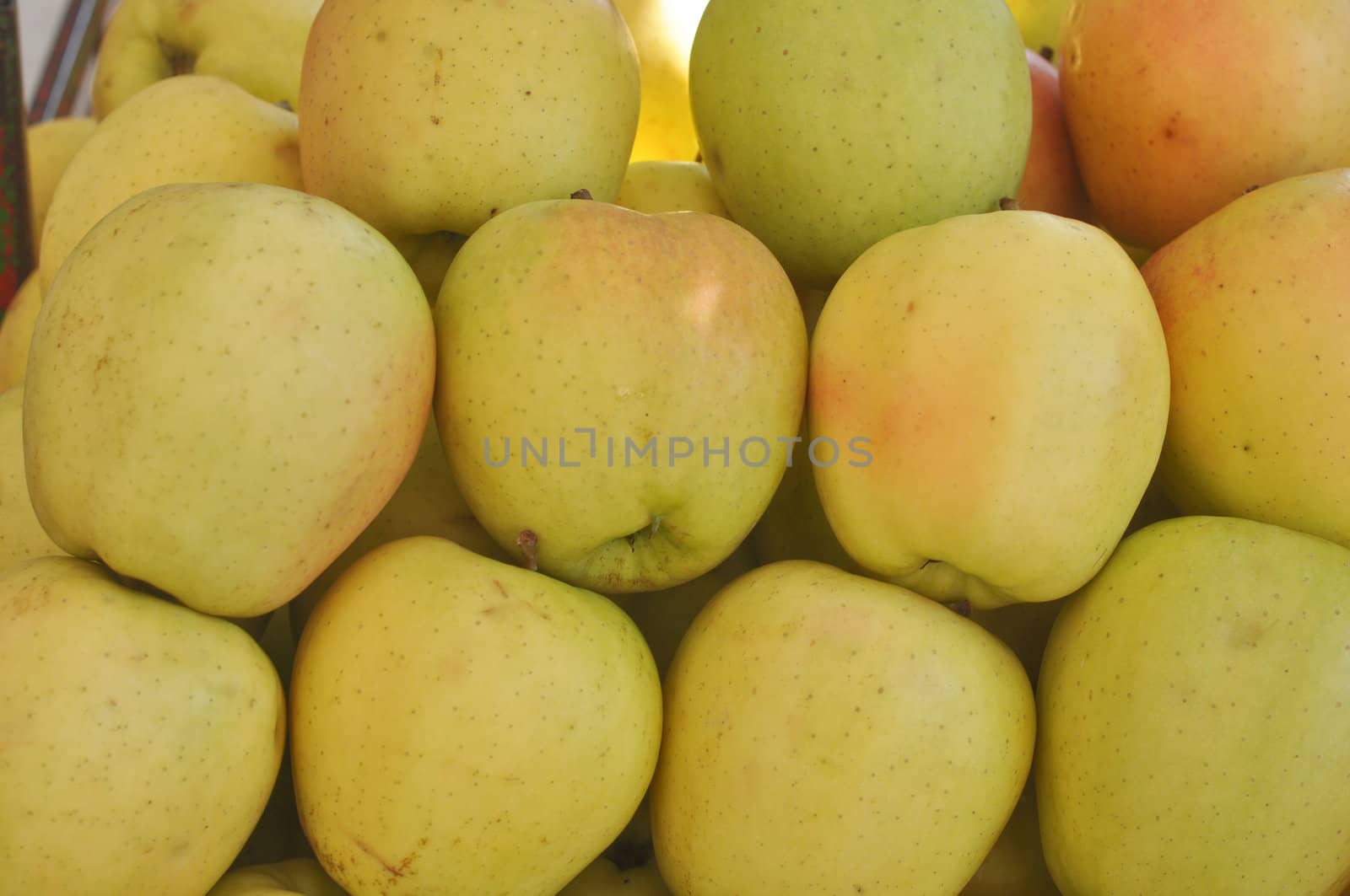 Apple fruit (Malus Domestica), green, yellow or red
