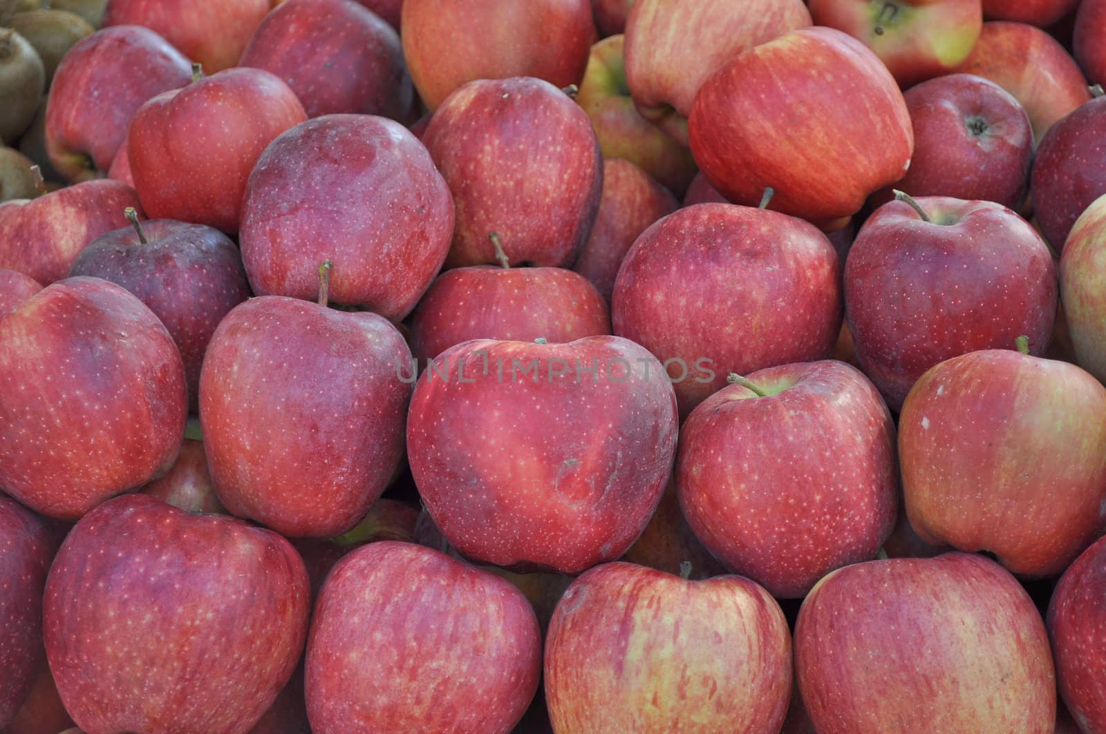Apple fruit (Malus Domestica), green, yellow or red