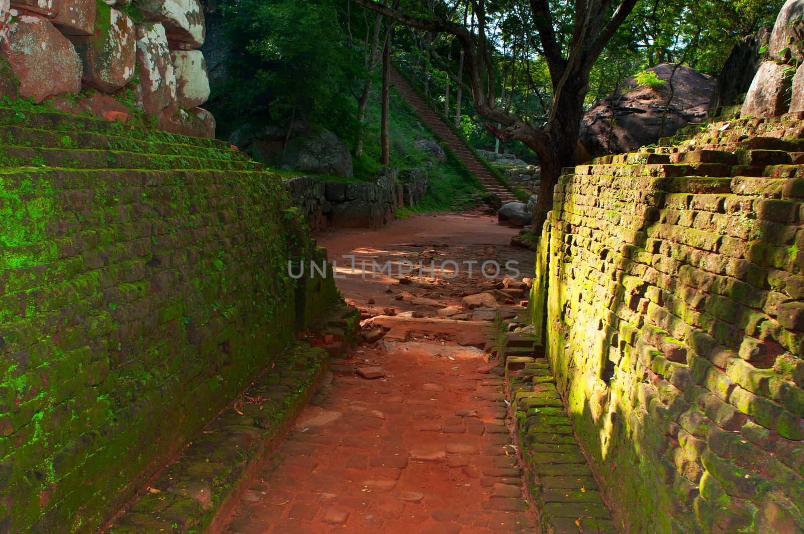 Ancient path and walls in rock fortress and palace on high Lion's rock , Sigiriya
