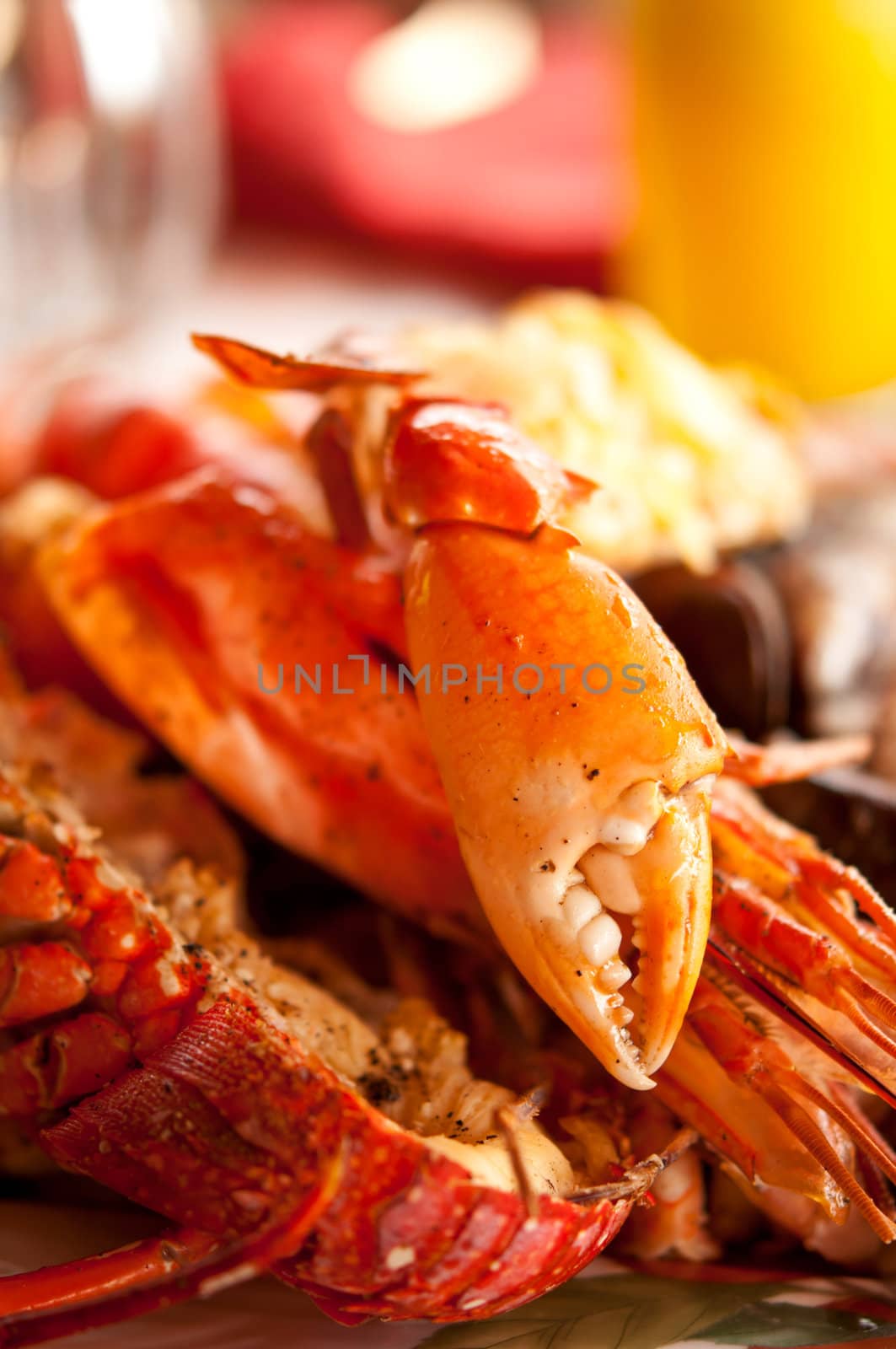 Dish with cooked crabs and lobsters by iryna_rasko