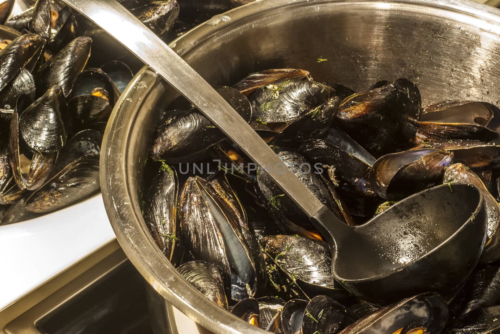 Cooker with stewed mussels wine and spices