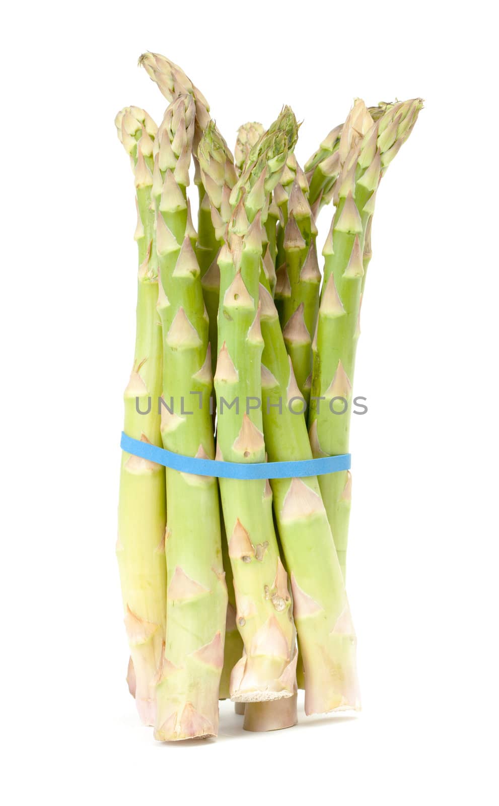 Bunch of fresh asparagus isolated on white background