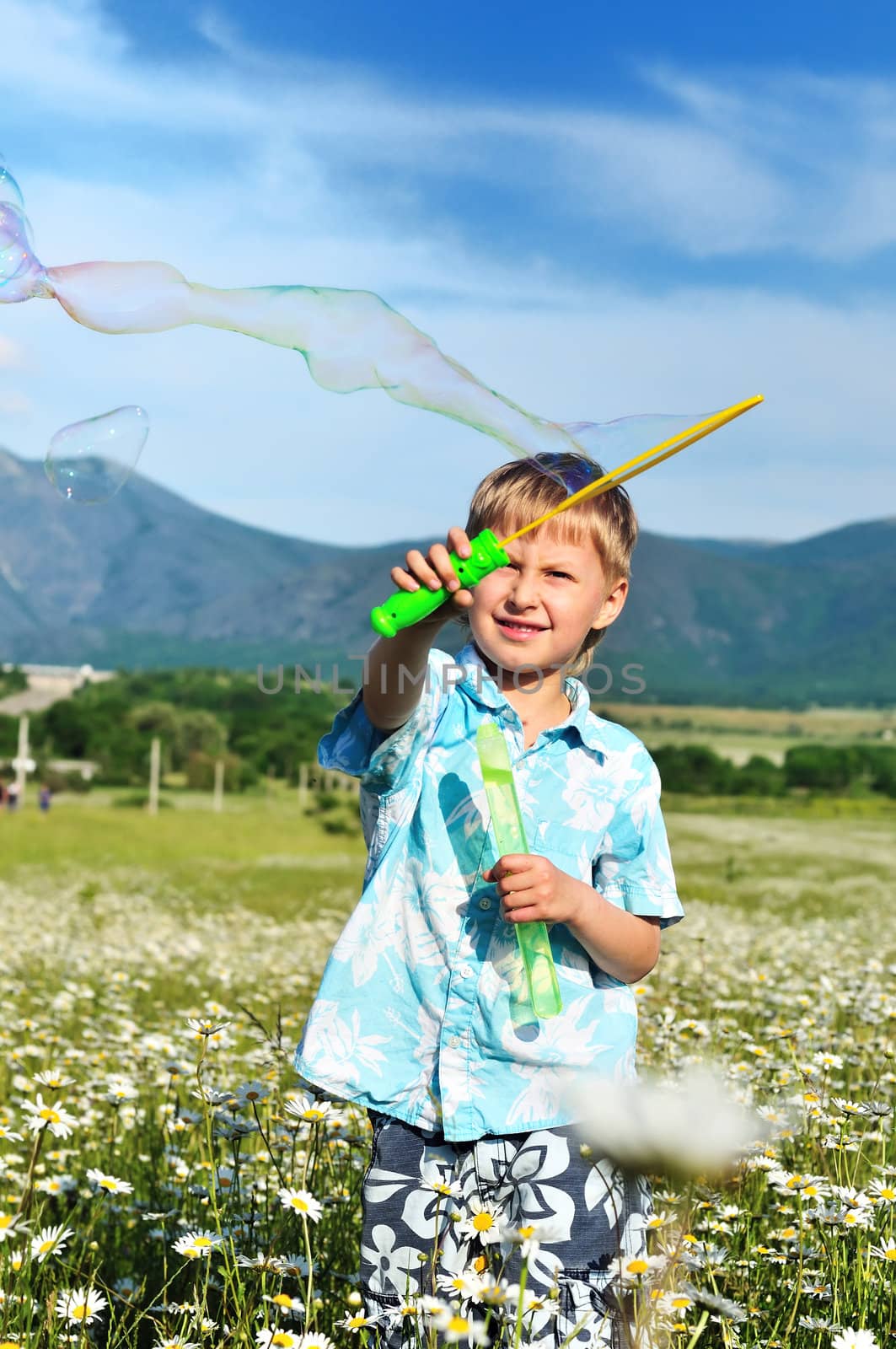 funny little boy blowing soap bubbles  in daisy field