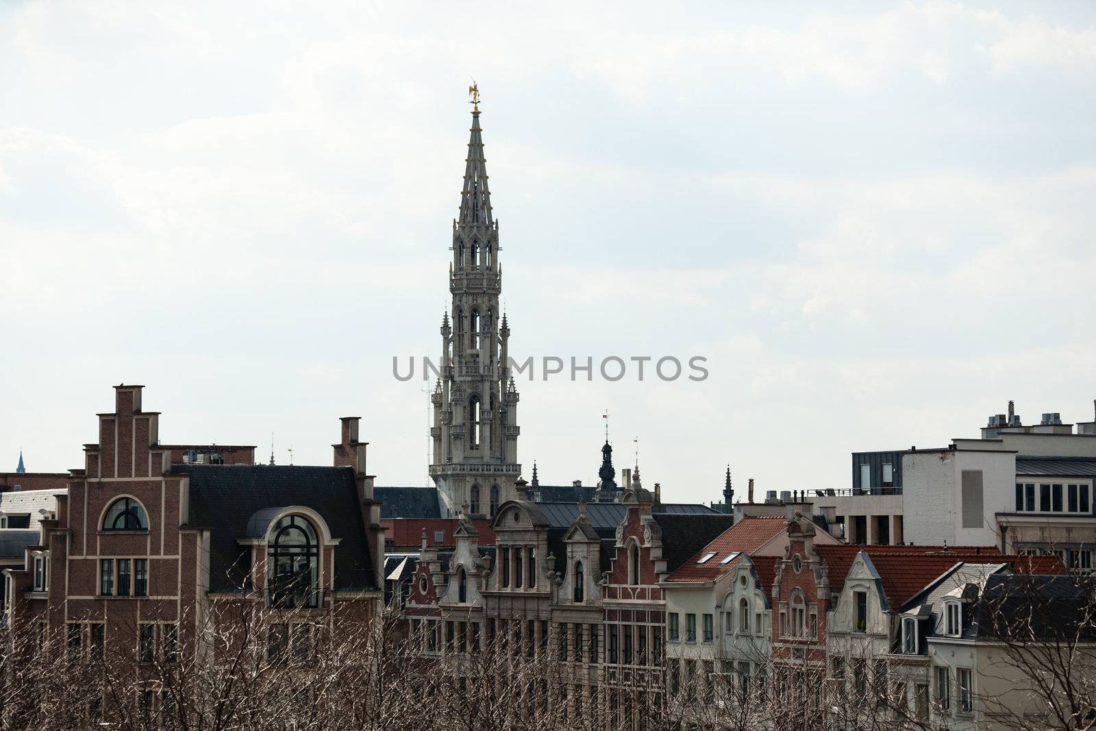 Ornate Brussels Town Hall in Grand Place over old and new buildings