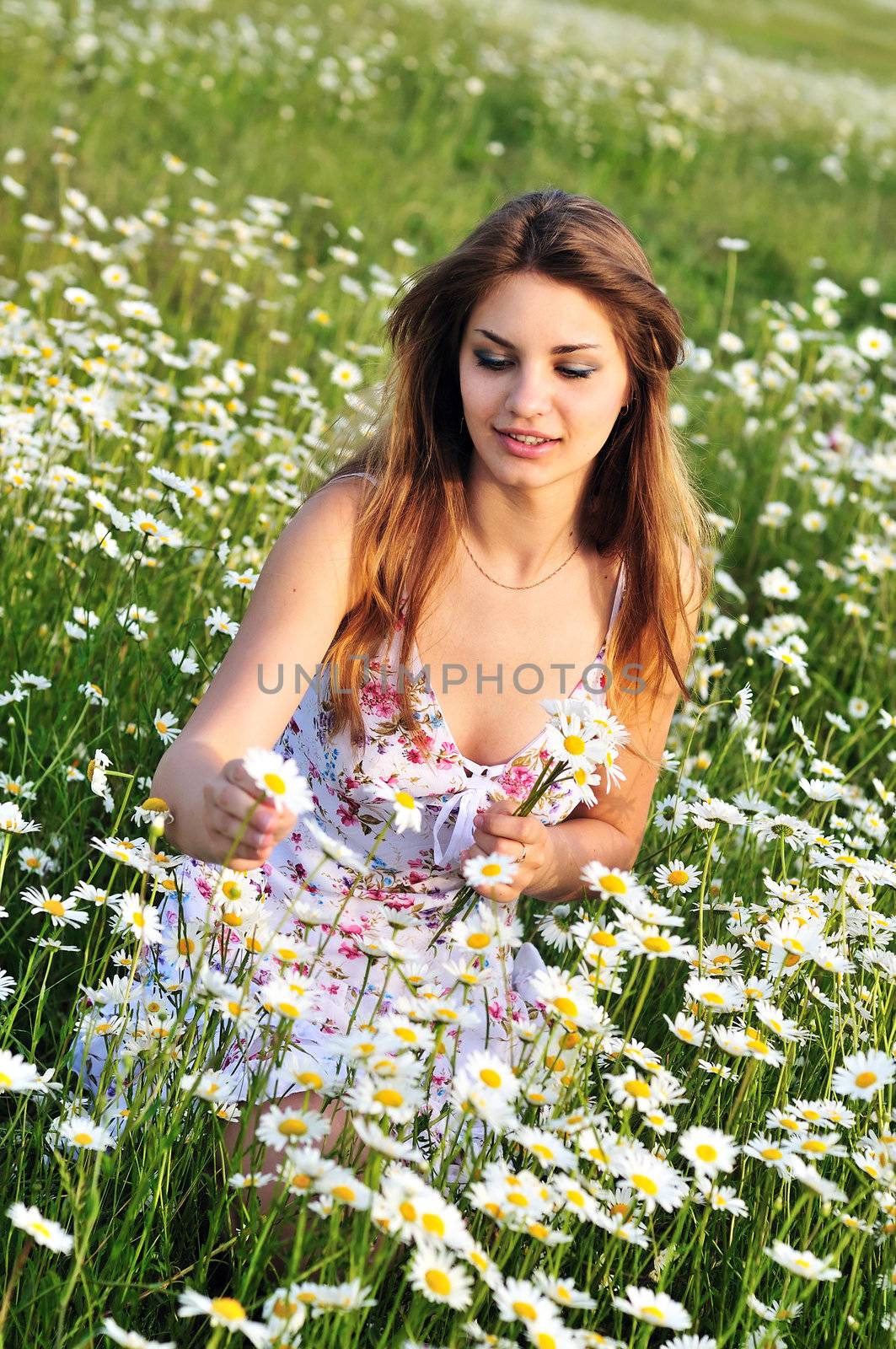 teen girl collecting bunch of daisies in the daisy field 