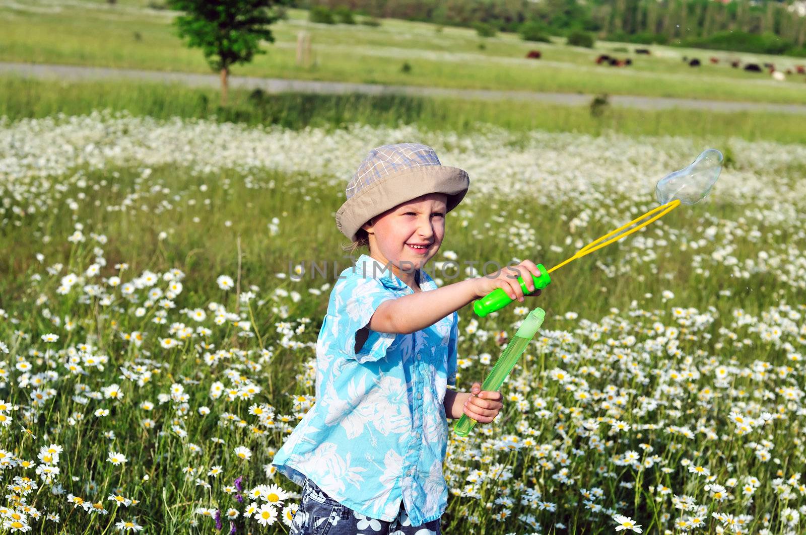 boy in daisy field making huge soap bubble