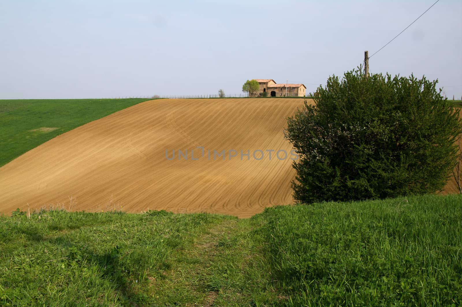 House on the hill a spring day close to Castelvetro, Italy