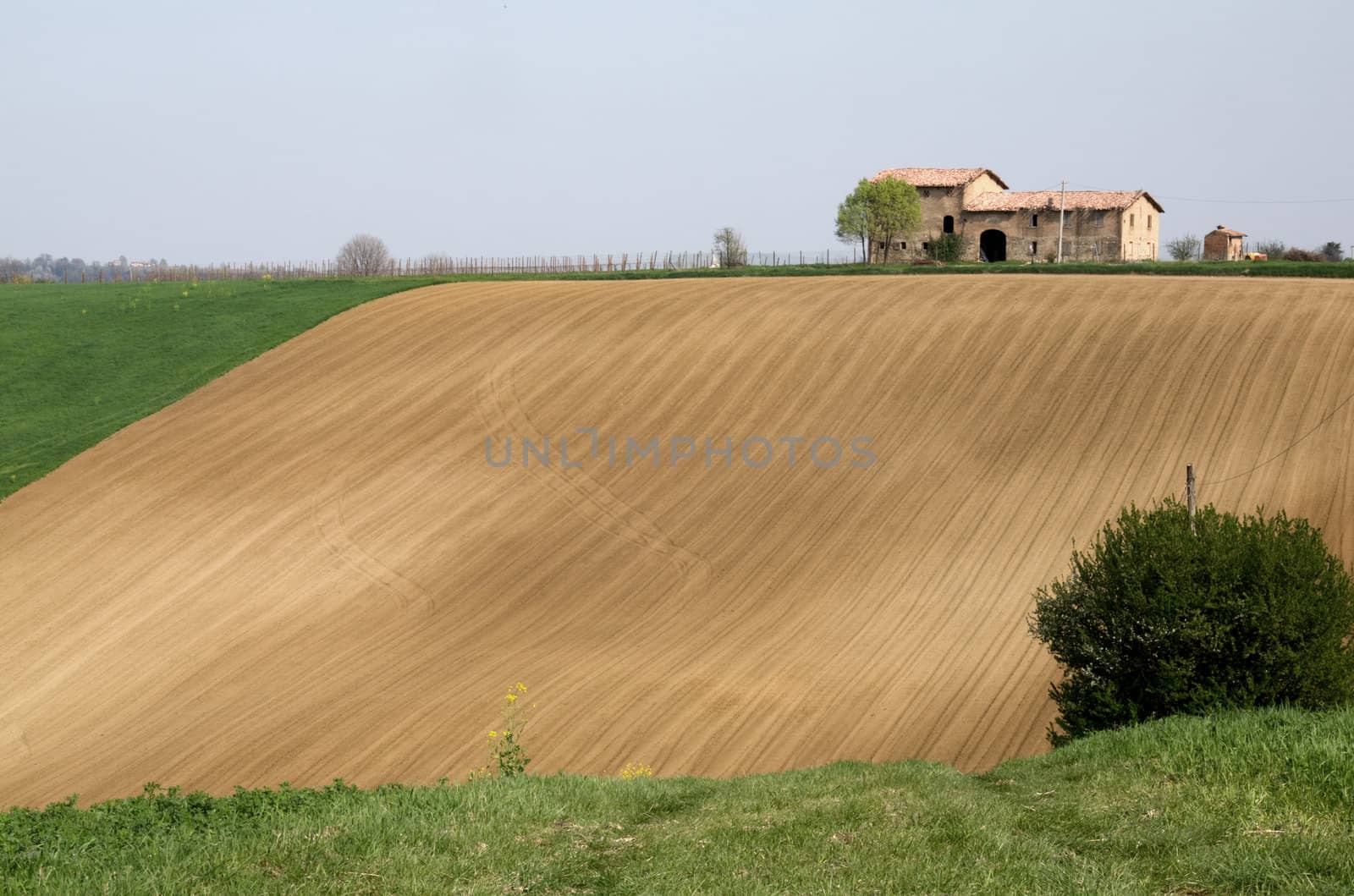 House on the hill a spring day close to Castelvetro, Italy