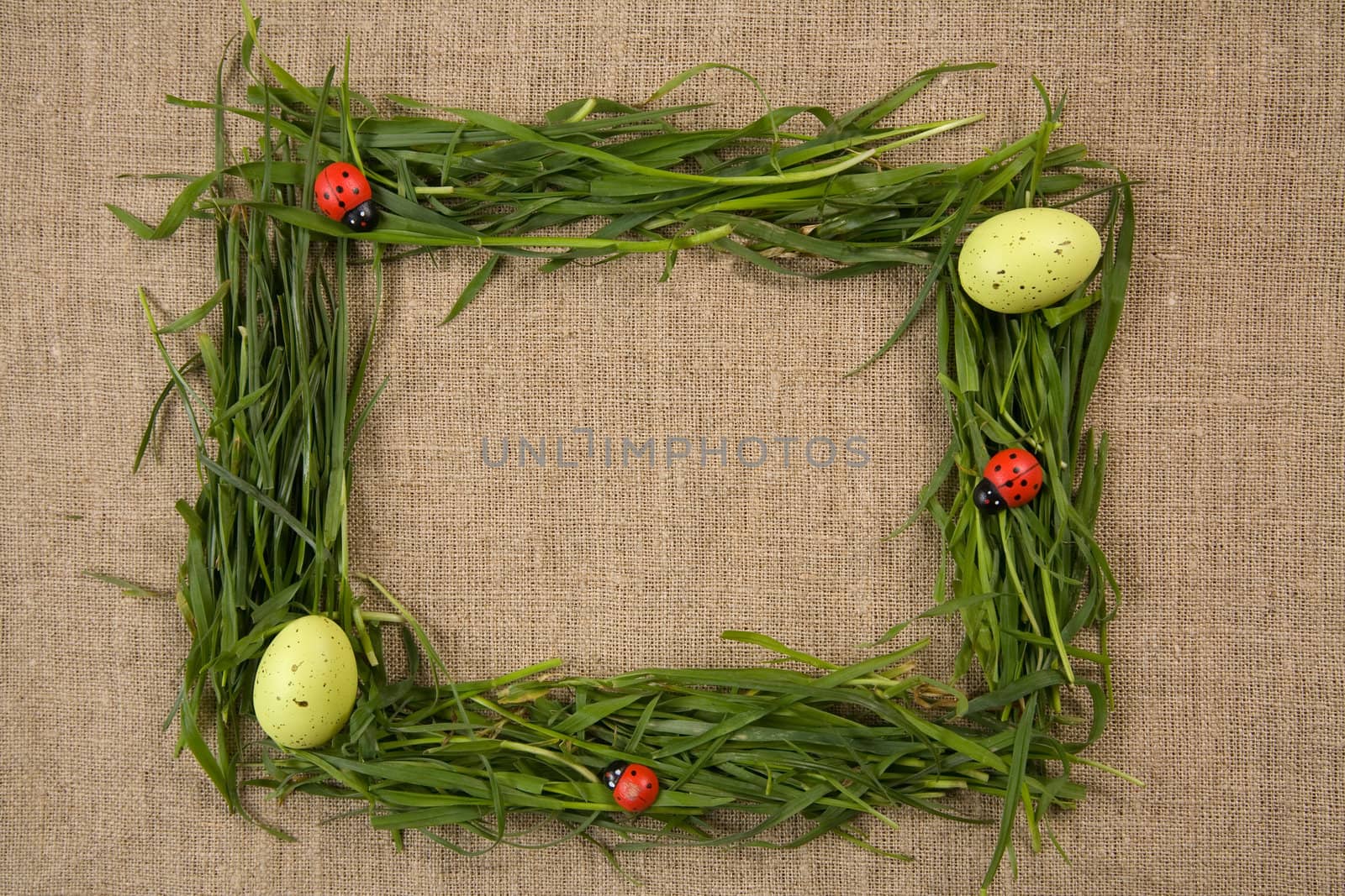 Grass frame with eggs and lady-bugs  by Elisanth